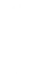 olive branch icon