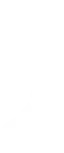 olive branch icon